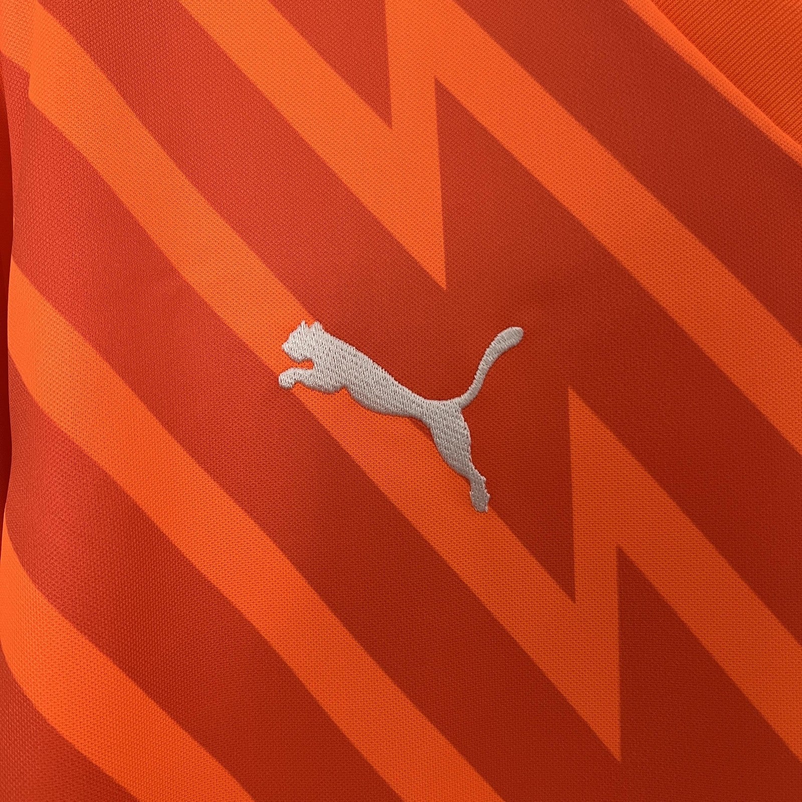 24 25 Palmeiras Goalkeeper 2